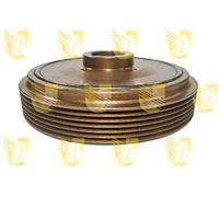 Unigom 421206 Puleggia Motore