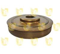 Unigom 421236 Puleggia Motore