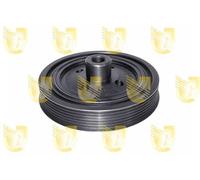 Unigom 421442 Puleggia Motore