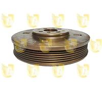 Unigom 421810 Puleggia Motore