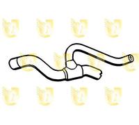 Unigom 7987 Manicotto Inferiore Radiatore