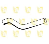 Unigom 8422 Manicotto SUP. RADIATORE Alfa 156 Benz.C/Cond