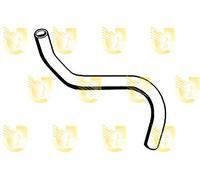 Unigom 8471 Manicotto Inferiore Radiatore
