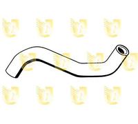 Unigom 9041 Manicotto Inferiore Radiatore