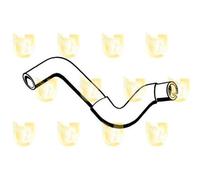 Unigom 9306 Manicotto Inf.RADIATORE Alfa 166 JTD