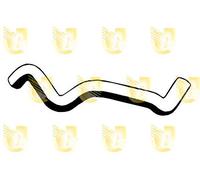 Unigom O8256 Manicotto Inferiore Radiatore