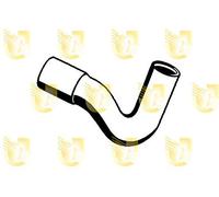 Unigom O8300 Manicotto Superiore Radiatore