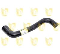 Unigom P6207 Manicotto Inf.RADIATORE P.206 1,9 D