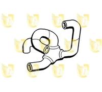 Unigom R4369 Manicotto Inf.RADIATORE Clio Diesel