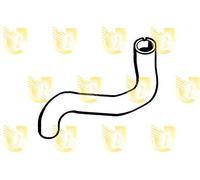 Unigom S1332 Manicotto Superiore Radiatore