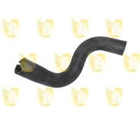 Unigom S1442 MANICOTTO INF.RADIATORE G.PUNTO 1,2/1,4 8V