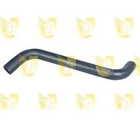 Unigom S3041 MANICOTTO SUP. RADIATORE DUCATO 1930cc D/TD