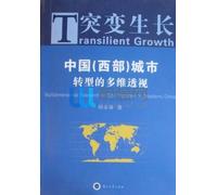 Un'indagine multidimensionale sulla trasformazione della città nella Cina occidentale (edizione cinese)