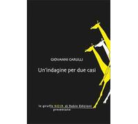 Un'indagine per due casi