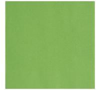 Unique 80271-13 cm Tovaglioli di Carta Verde Lime - 20 Pezzi (Confezione da 1)