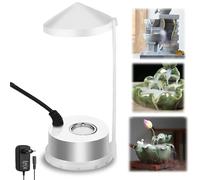 UNISOPH Nebulizzatore ad ultrasuoni, Mini Macchina del Fumo Fogger Fogger Atomizzatore in Metallo 24V Nebulizzatore per Stagno, Acquario, Giardino, Zucca di Halloween e Vaso di Streghe, Spina Europea