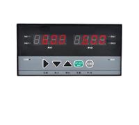 Unità pannello di ingresso segnale universale for controllore di temperatura e pressione con display di processo multicanale(2-RS485-DC24V)