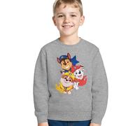 United Labels Paw Patrol Felpa per Ragazzi - Top Pullover per Bambini Grigio (DE/NL/SE/PL, numerico, 110, 116, Regolare, Grigio)