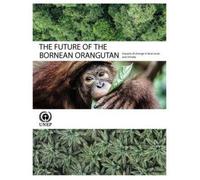 United Nations Environment Program The Future of the Bornean Orangut (Tascabile)