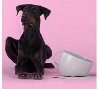 UNITED PETS Set Cup Ciotola Grande e Tappetino Sottociotola Grigio, Ciotola di Design per Cani, Made in Italy, per cani di taglia media e grande, Antiscivolo, Antischizzo, 100% Plastica Riciclata