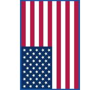 United States Flag - Lined Notebook for Students and Professionals: Patriotic 6” x 9” Lined Notebook with Matte Softcover - 100 Pages for School, Office, Journaling or Daily Notes