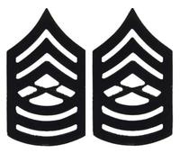 United States Marine Corps Insignia of Rank Pins (set di due) Master Sergeant E8 (Set)