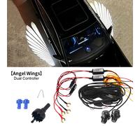 Universal Angel Wing tappeto proiezione luce decorazione proiezione esterna specchietto retrovisore ali d'angelo luce a LED luce di benvenuto