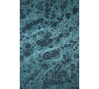 Universal Money Tracker: Your Monthly Journal for Tracking Income, Expenses & Net Worth