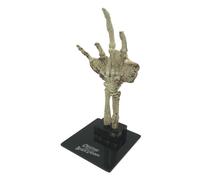 Factory Entertainment Mini Replica Di Creatura Fossilizzata Mano Mostri Universali 18 Cm