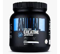 Universal Nutrition Creatina animale, in polvere - 500 g