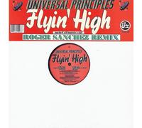 Universal Principles - Flyin