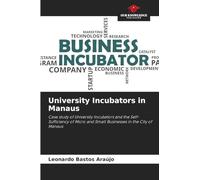University Incubators in Manaus: Case study of University Incubators and the Self-Sufficiency of Micro and Small Businesses in the City of Manaus