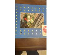 UNIVERSO IN UNA STANZA DECORAZIONI DIMORE NOVARA XVI XX MUTUE