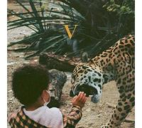 Unknown Mortal Orchestra - V