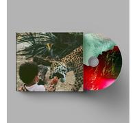 Unknown Mortal Orchestra V (CD) Album