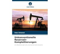 Unkonventionelle Reservoir-Komplettierungen: Ein Überblick über die unkonventionelle Industrie