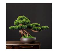 UNNS Bonsai Artificiale Pino Decorazione Interna Feng Shui Vaso Ceramica A 48x15x33 cm