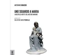 Uno sguardo a Maria. I molteplici aspetti del mistero mariano