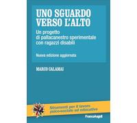 Uno sguardo verso l'alto. Un progetto di pallacanestro sperimentale con ragazzi disabili