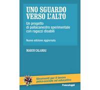Uno sguardo verso l'alto. Un progetto di pallacanestro sperimentale con ragazzi disabili