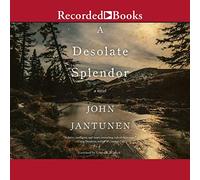 Uno splendore desolato: un romanzo