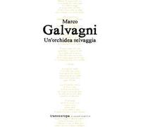 Un'orchidea selvaggia