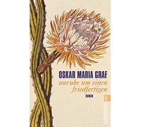 Unruhe um einen Friedfertigen: Roman