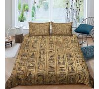 UNRXJZLVM Ancient hieroglyphsSet Di Copripiumino morbida microfibra 3 Pezzi stampa 3D con cerniera Egyptian historical copripiumino incluso federe aiosa ultra morbido for ragazze King（220x240cm）