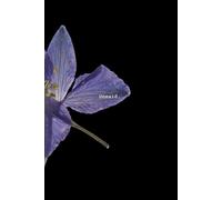 Unsaid.: A collection of heartfelt questions exploring love, regret, heartbreak, and the unspoken feelings.