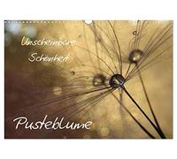 Unscheinbare Schönheit - Pusteblume (Wandkalender 2026 DIN A3 quer), CALVENDO Monatskalender: Unscheinbare Schönheit am Wegesrand und auf Wiesen