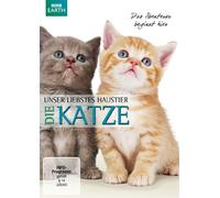 Unser liebstes Haustier - Die Katze