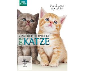 Unser liebstes Haustier - Die Katze