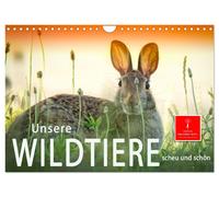 Unsere Wildtiere - scheu und schön (Wandkalender 2027 DIN A4 quer), CALVENDO Mon