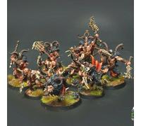 Untamed Beasts Warcry warband COMMISSIONE pittura professionale
